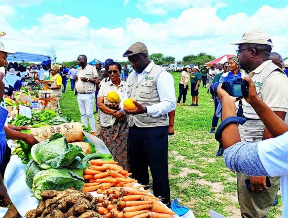 Província de Maputo registou perda de 20 mil hectares de culturas na campanha agrária 2021/22