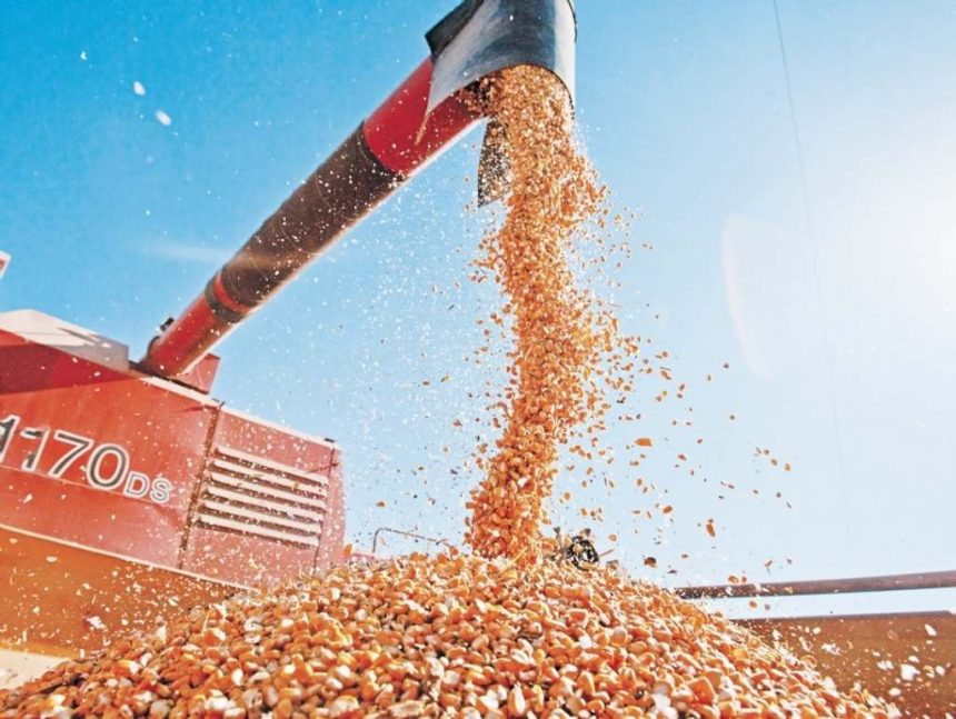 OCHA: Acordo de exportação de cereais decorre como o previsto