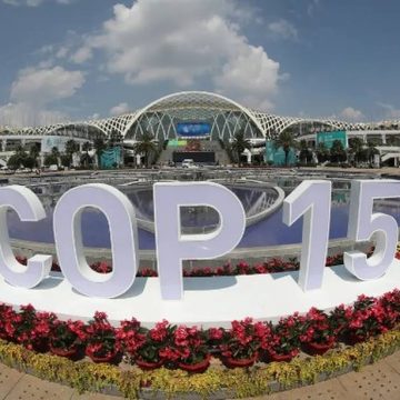 Acordo mundial sobre biodiversidade começa hoje a ser discutido em Montreal na COP15