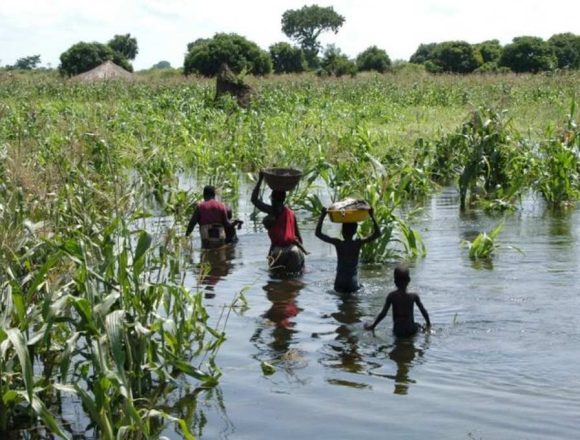 Inundações deixam milhares de famílias à beira da fome em Maputo