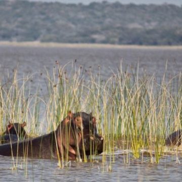 Parque nacional de Maputo: Uma referência na protecção da biodiversidade
