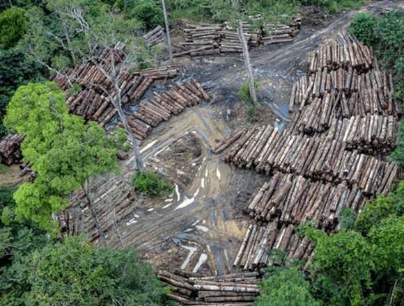 Moçambique terá satélite de monitoria ambiental