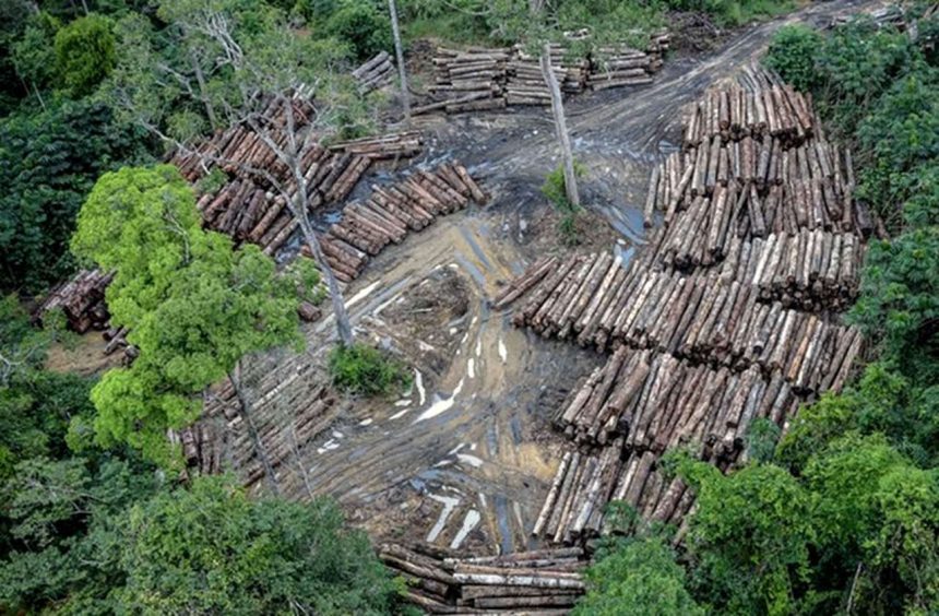 Moçambique terá satélite de monitoria ambiental