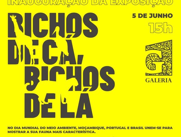 Bichos de Cá, Bichos de Lá?: exposição e mesa-redonda celebram biodiversidade na Galeria do Porto de Maputo