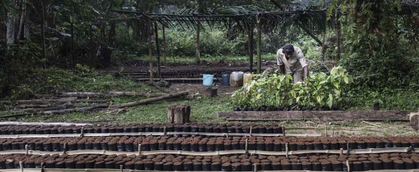 BAD aprova 20 milhões de dólares para investimento em agricultura inteligente em Moçambique