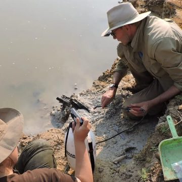 Zâmbia: Arqueólogos descobrem a madeira mais antiga do mundo, com quase 500 milhões de anos