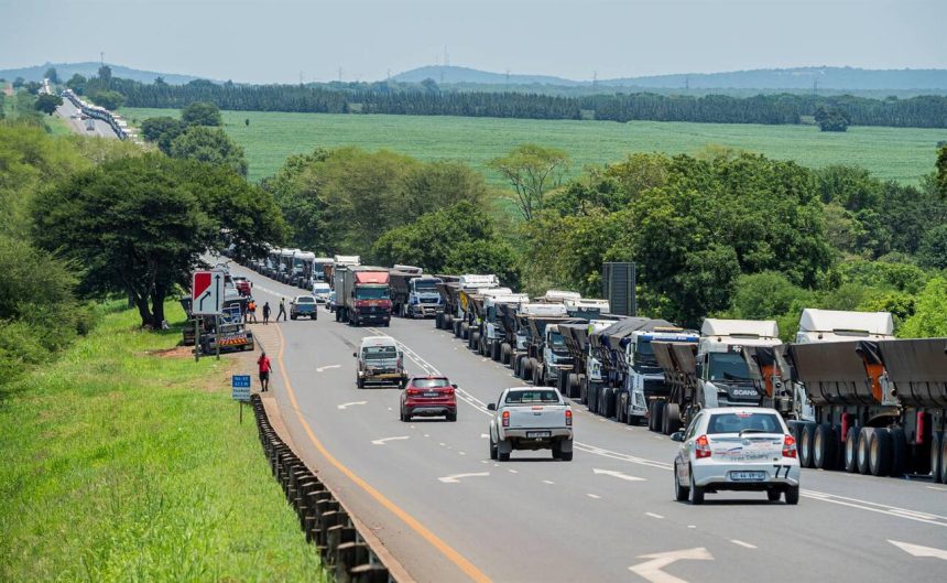 Kruger Park, na África do Sul, opõe-se à criação de posto fronteiriço com Moçambique exclusivo para camiões