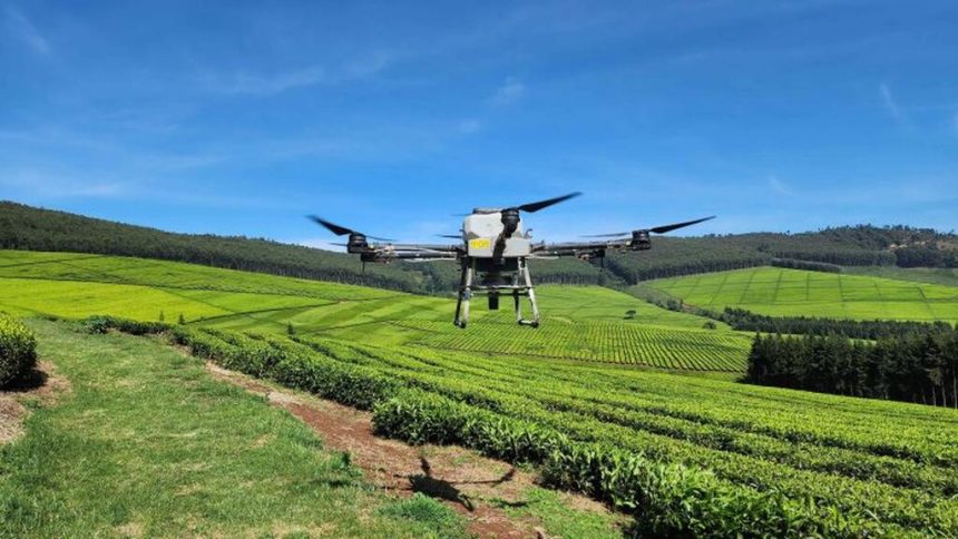 Moçambique participa a partir de hoje na Conferência Africana sobre Tecnologia Agrícola