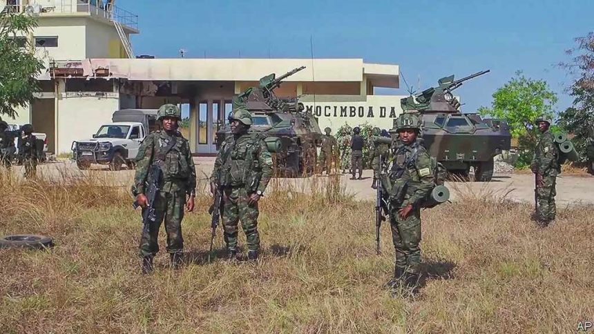 Cabo Delgado: Terroristas continuam a circular em Nangade e Mocímboa da Praia