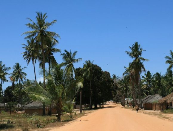 Cabo Delgado: Terroristas atacam posto administrativo de Mazeze