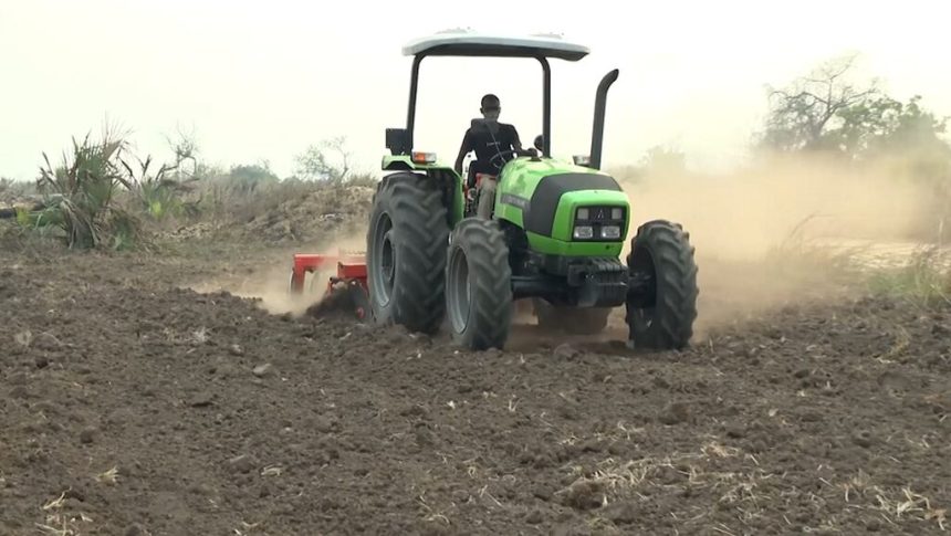 Ministério de agricultura recomenda atraso de sementeiras na região norte face à escassez de chuva