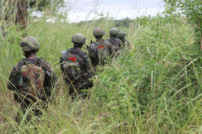 Cabo Delgado: Insurgentes intensificam ataques durante as manifestações pós-eleitorais em Maputo