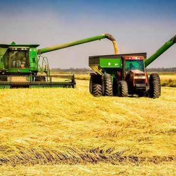 Brasil projecta investimentos para desenvolver produção do arroz no Baixo Limpopo