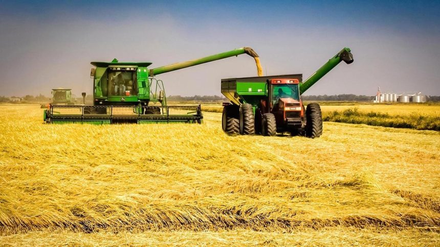 Brasil projecta investimentos para desenvolver produção do arroz no Baixo Limpopo