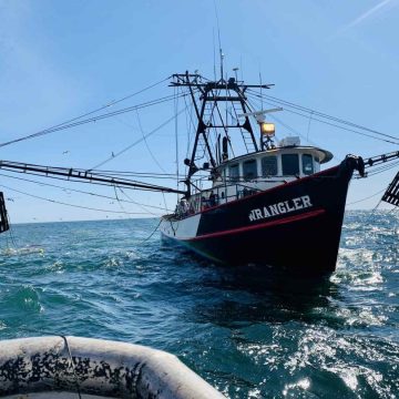 Governo suspende emissão de licenças de captura de caranguejo na Zambézia