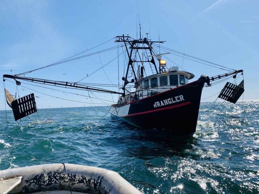 Governo suspende emissão de licenças de captura de caranguejo na Zambézia