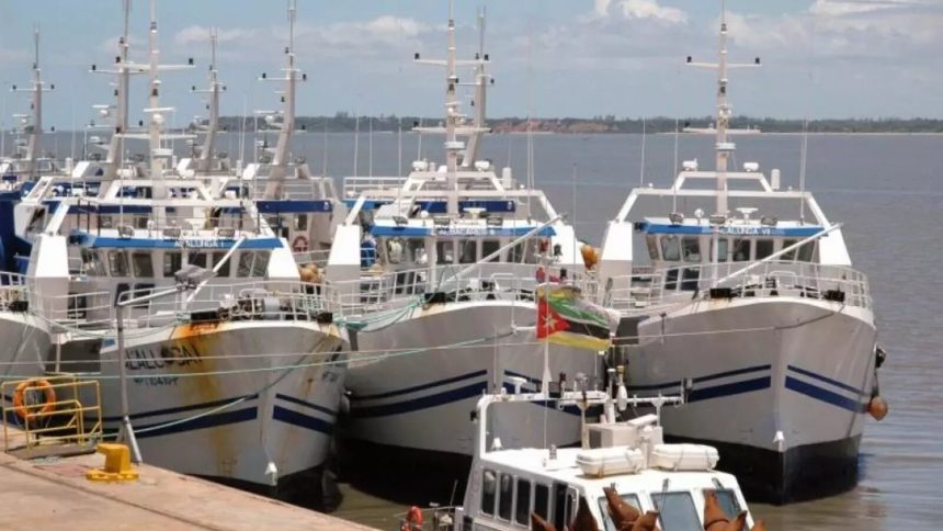 Dívidas ocultas: Moçambique avança com leilão dos barcos da EMATUM. A ideia é recuperar no mínimo 11 M$