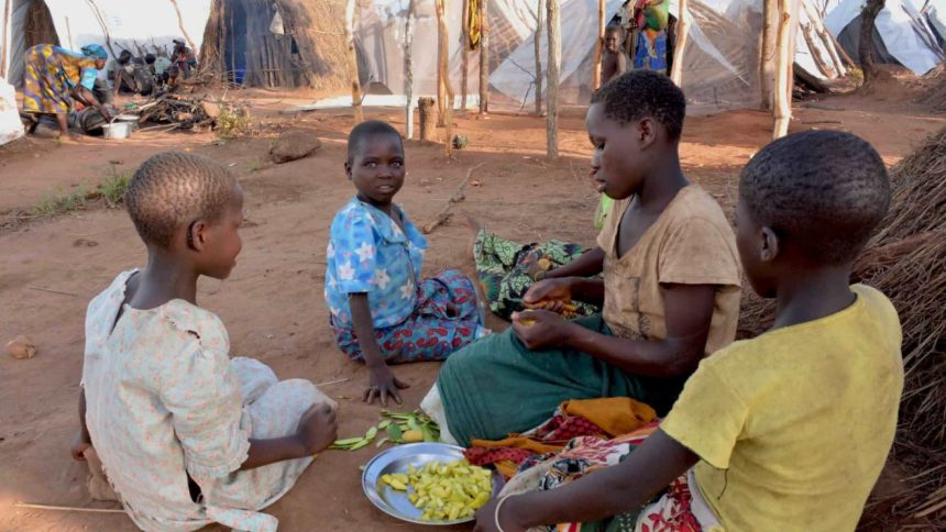 Nova vaga de seca prevê agravar situação da fome a milhares de famílias moçambicanas