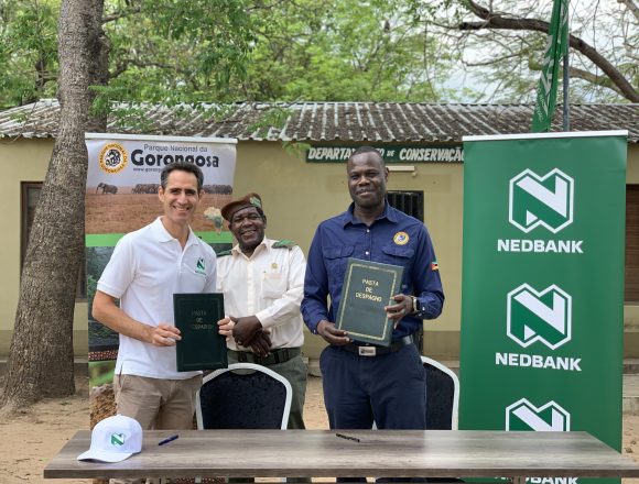 Nedbank Moçambique renova acordo de parceria com o Parque Nacional da Gorongosa