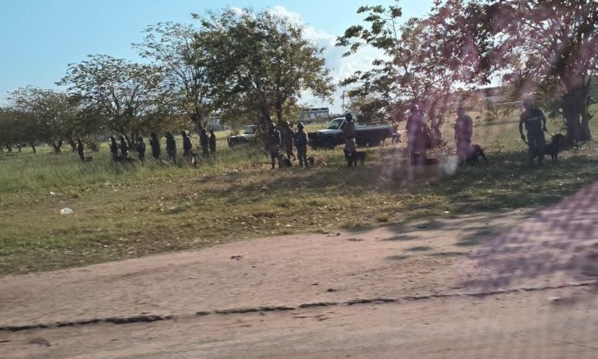 Vídeo/Beira: Mesmo sem agitação, já há detidos enquanto a PRM controla a cidade