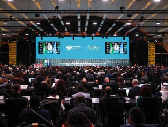 ONU debate o combate à seca e desertificação em conferência mundial