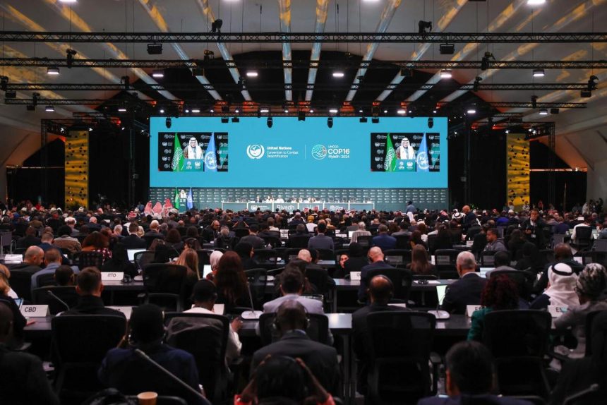 ONU debate o combate à seca e desertificação em conferência mundial