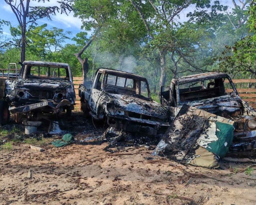 Manica: Manifestantes vandalizam Reserva Nacional de Chimanimani