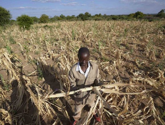 ONU: “Seca afecta o acesso à alimentação de 26 milhões de pessoas na África Austral”