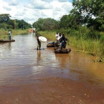 Gaza: Idosa atacada por crocodilo em Chicualacuala