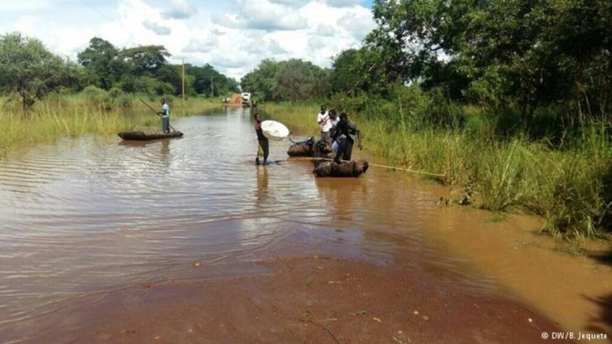 Gaza: Idosa atacada por crocodilo em Chicualacuala