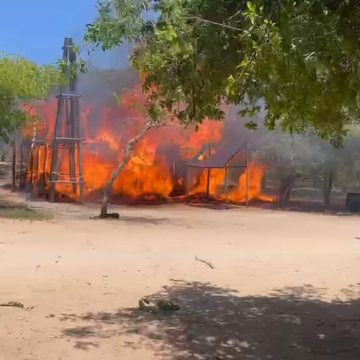 Populares destroem infra-estruturas da Reserva de Pomene em retaliação à condenação de um jovem por ter matado macaco