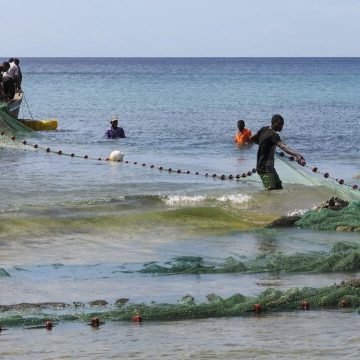 Cabo Delgado: Funcionários denunciam desvio de 14 milhões meticais para apoiar vítimas de terrorismo