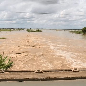 Subida do Incomáti ameaça cortar a N1