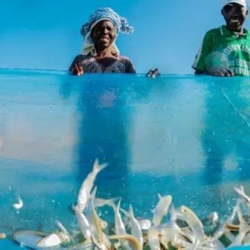 Cabo Delgado/: GAIN lança primeira pedra para construção de Centro de pesca