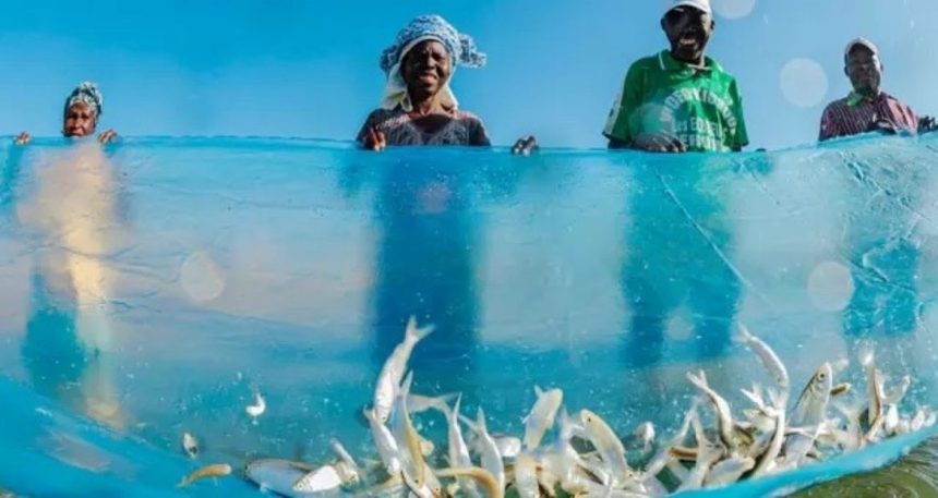 Cabo Delgado/: GAIN lança primeira pedra para construção de Centro de pesca