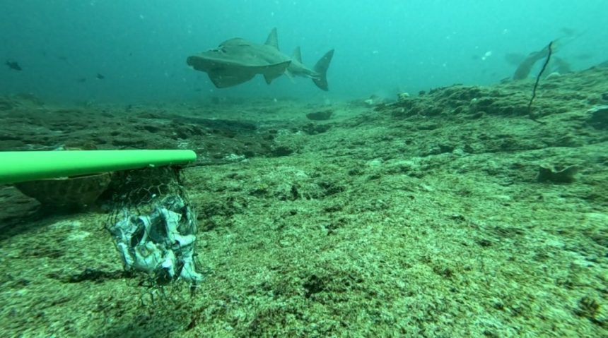 Moçambique e Noruega cooperam em estudos oceanográficos