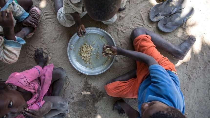 Tete: Pelo menos 13 crianças morreram de desnutrição em 2024