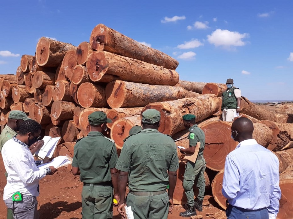 Cabo Delgado: AQUA apreende mais de nove mil pranchas de madeira nativa