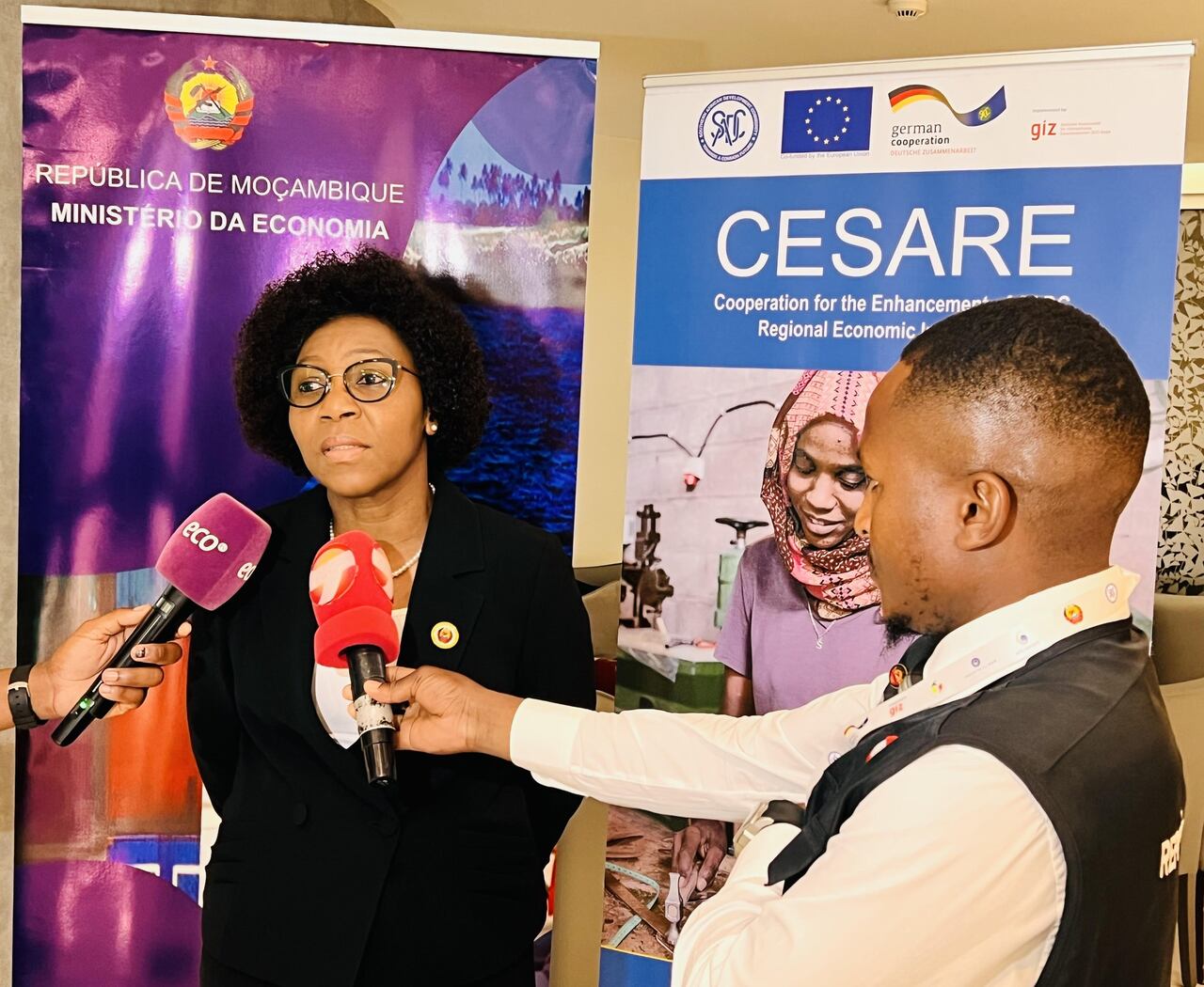 Moçambique quer transformar couro em produto de exportação com apoio da região