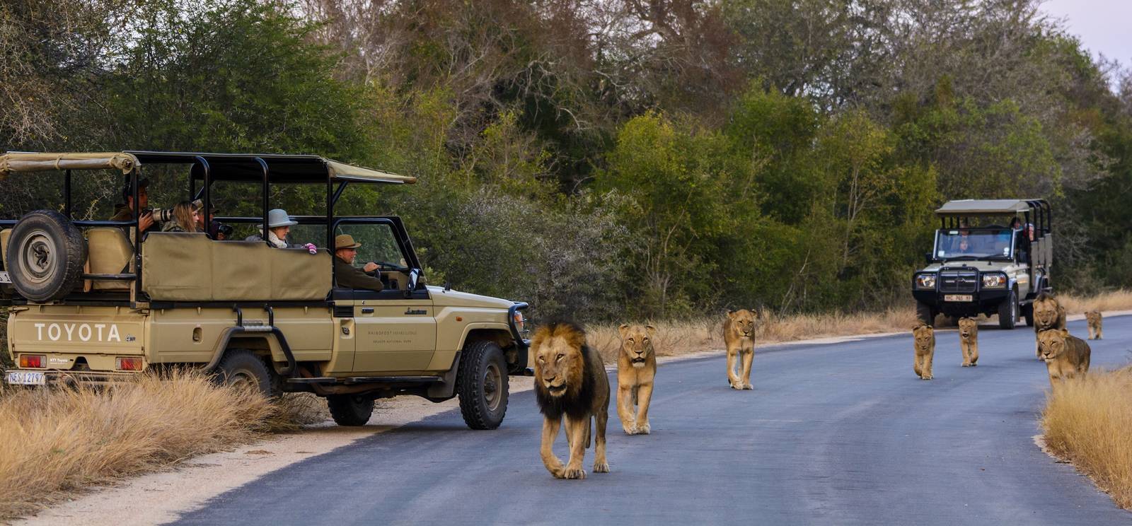 Moçambique investe 23 milhões de dólares para melhorar turismo baseado na natureza