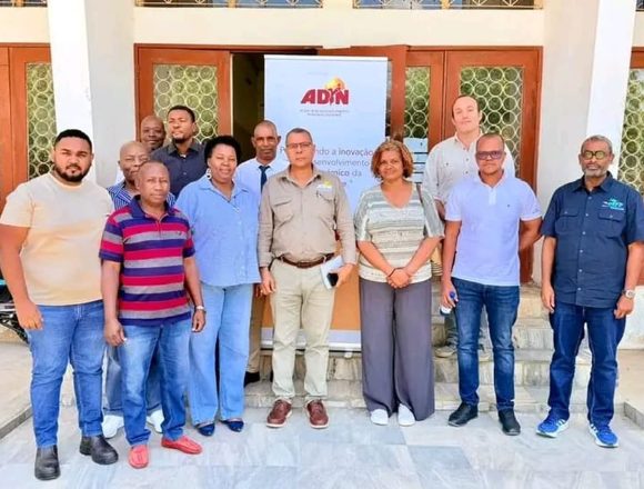 ADIN (2) ADIN e empreiteiros de Cabo Delgado unem-se para acelerar a reconstrução regional