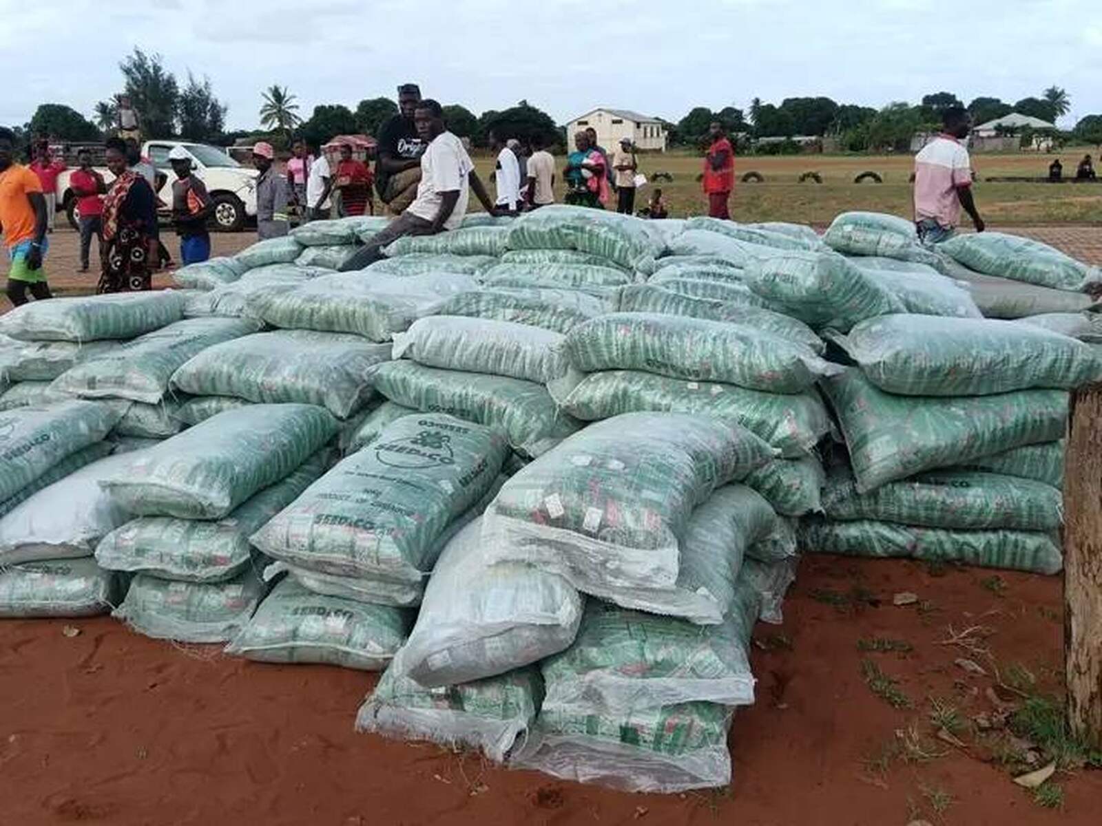 Gaza: Detido director distrital de actividades económicas de Mandlakazi por desvio de insumos agrícolas