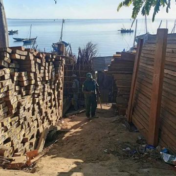 Pranchas de madeira Apreendidas mais de nove mil pranchas de madeira ilegal em Mocímboa da Praia