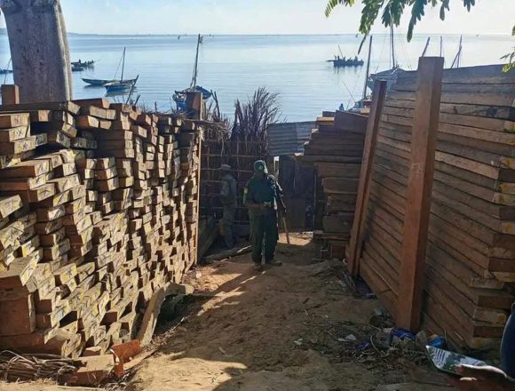 Pranchas de madeira Apreendidas mais de nove mil pranchas de madeira ilegal em Mocímboa da Praia