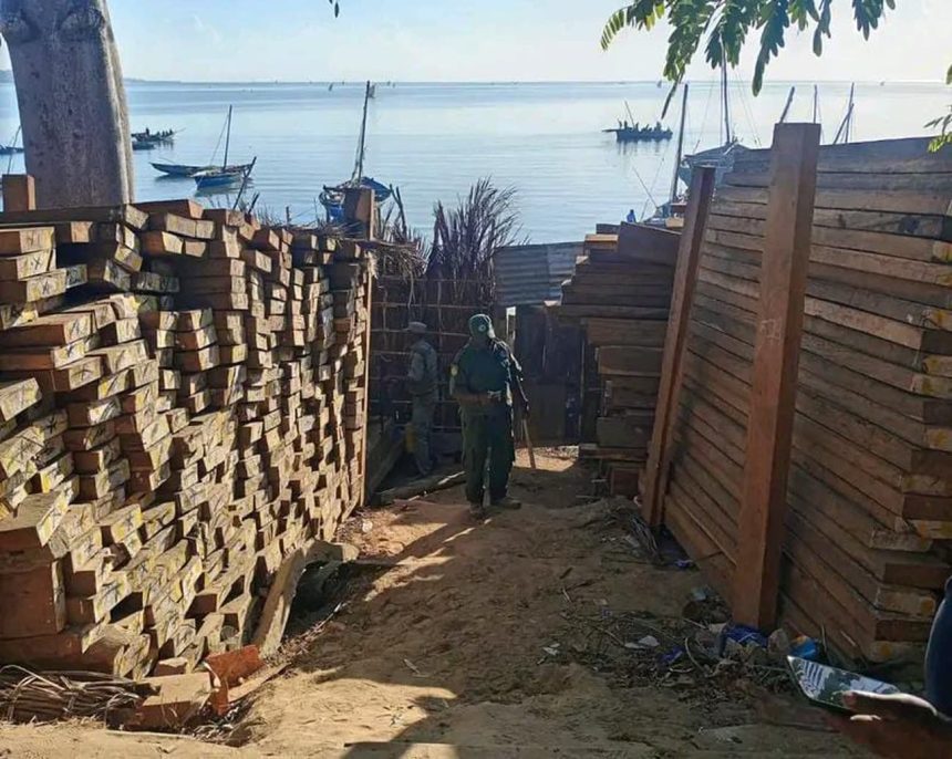 Apreendidas mais de nove mil pranchas de madeira ilegal em Mocímboa da Praia