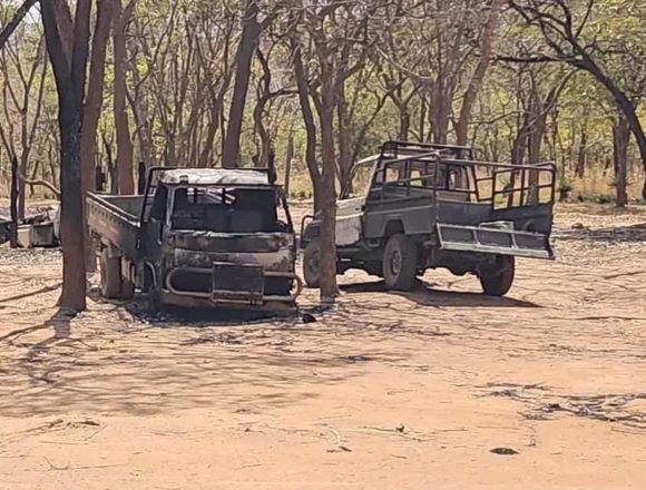 Reserva do Niassa Extorsão de milhares de dólares viabiliza soltura de refém sul-africano na Reserva do Niassa