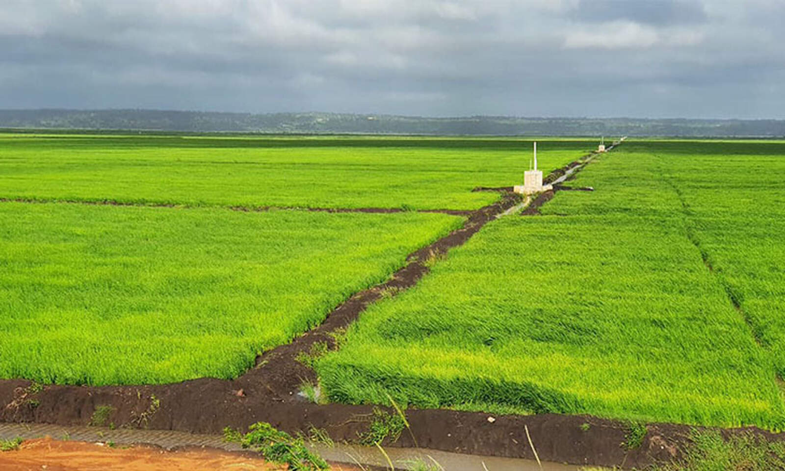Governo anuncia reabilitação dos regadios do Limpopo e Chókwè para reforçar gestão hídrica