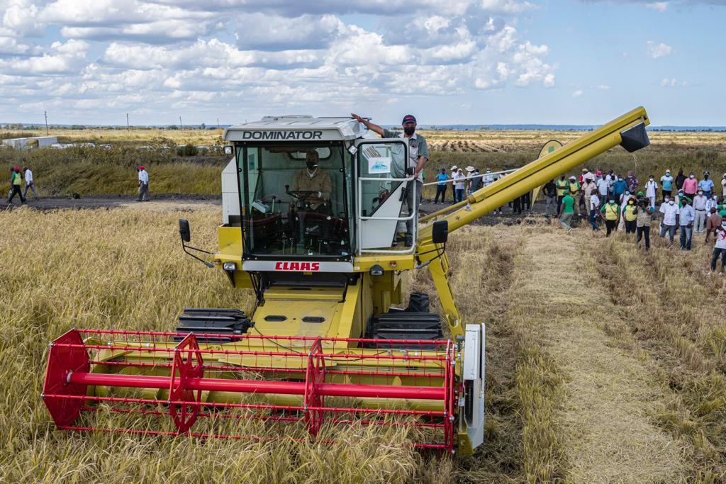 Gaza vai ampliar produção de trigo e instalar moageira