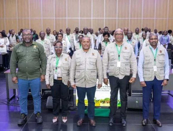 Mito Albino Albino exige medidas concretas para melhorar a produção agrícola em Moçambique